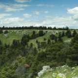 La imbocchiamo, per ritrovarci subito davanti a un�enorme cavit� sul cui fondo cresce rigogliosa una vegetazione fatta di pini piantati negli anni 50